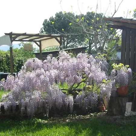 Verbena Lodging Bed & Breakfast