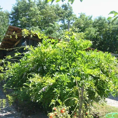 Verbena Lodging