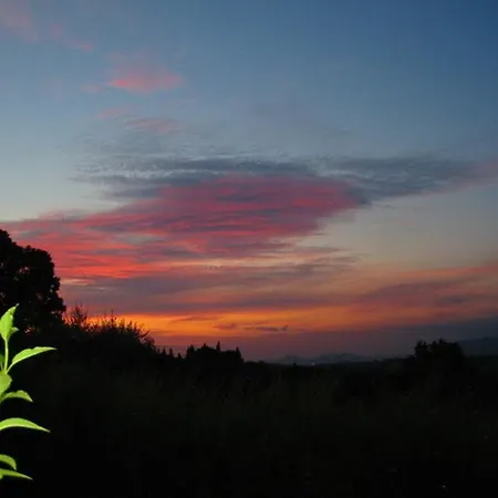 Bed and breakfast Verbena Lodging *
